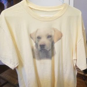 Shirt dog